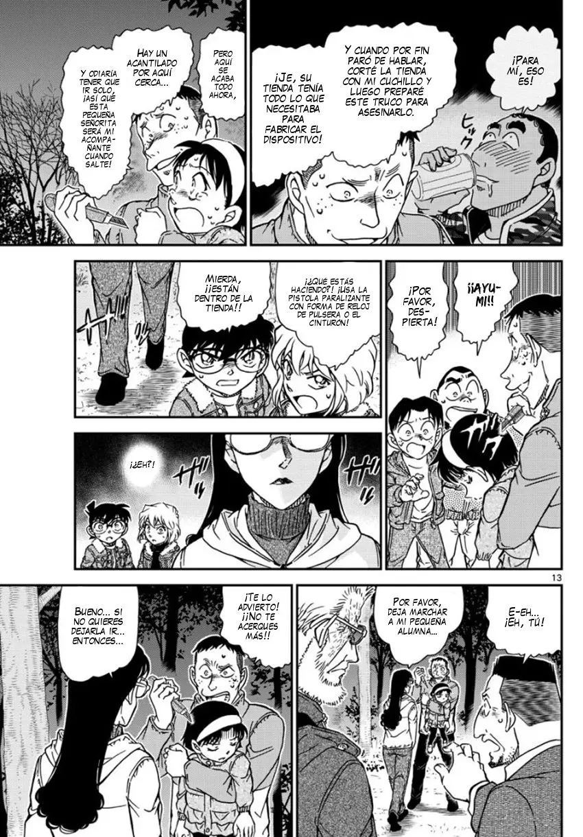 Detective Conan capítulo 989, página 14