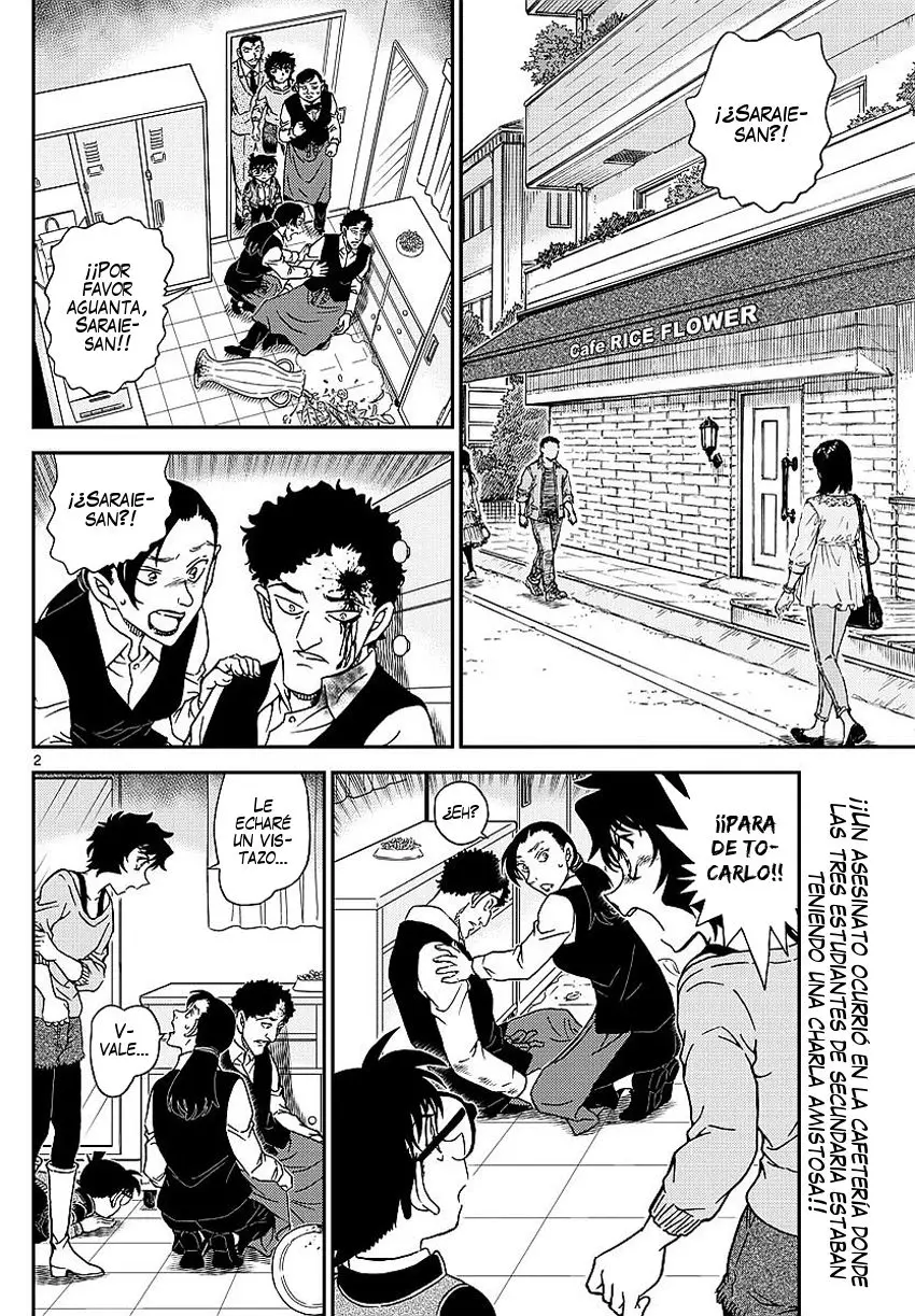 Detective Conan capítulo 995, página 3