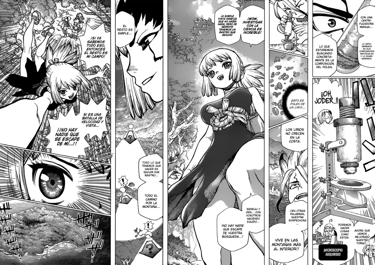 Dr. Stone capítulo 104, página 13