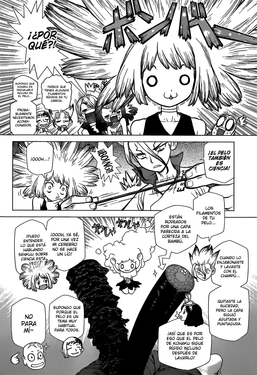 Dr. Stone capítulo 110, página 13