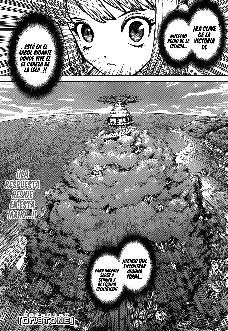 Dr. Stone capítulo 113, página 4