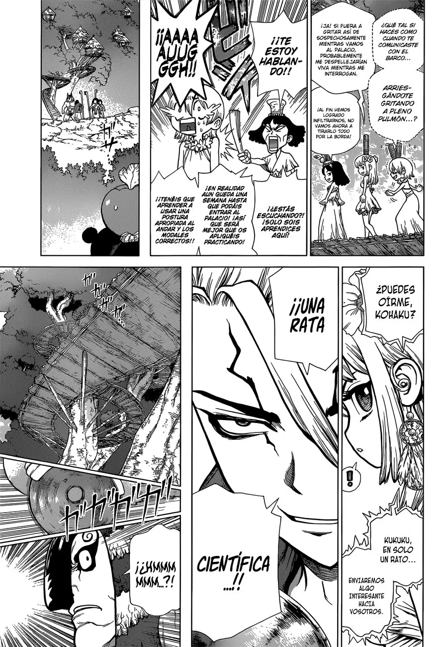Dr. Stone capítulo 113, página 6