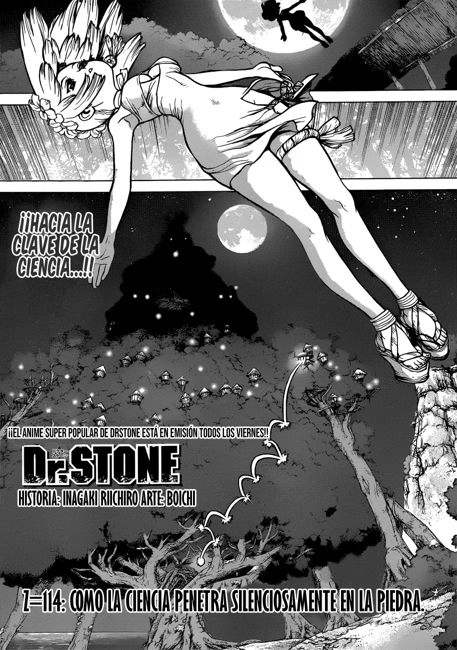 Dr. Stone capítulo 114, página 4
