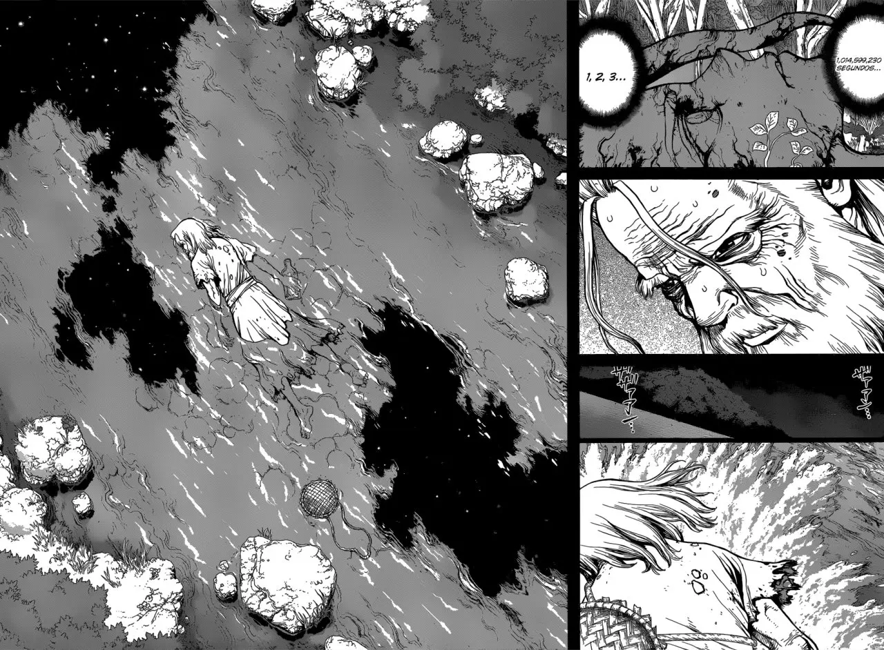 Dr. Stone capítulo 115, página 17