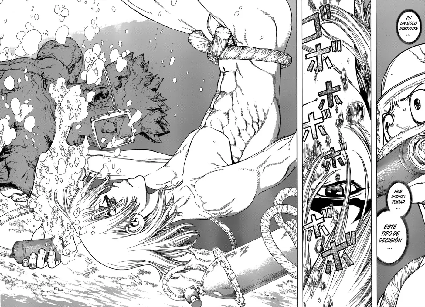 Dr. Stone capítulo 118, página 11
