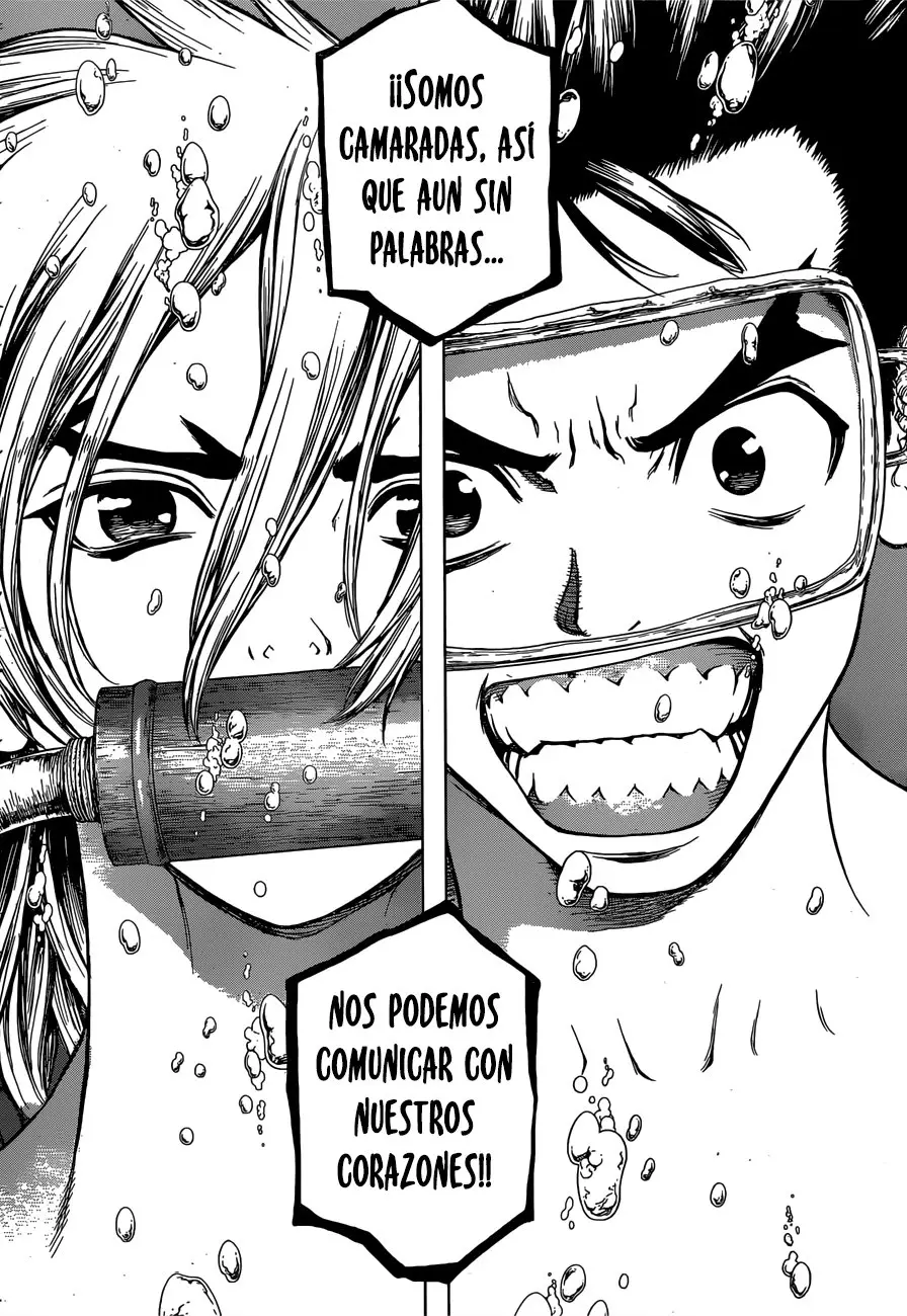 Dr. Stone capítulo 118, página 17