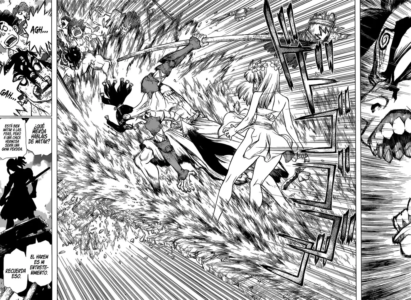Dr. Stone capítulo 120, página 15
