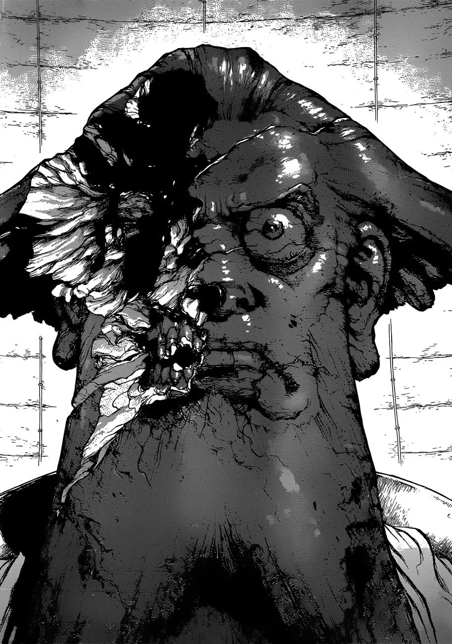 Dr. Stone capítulo 120, página 20