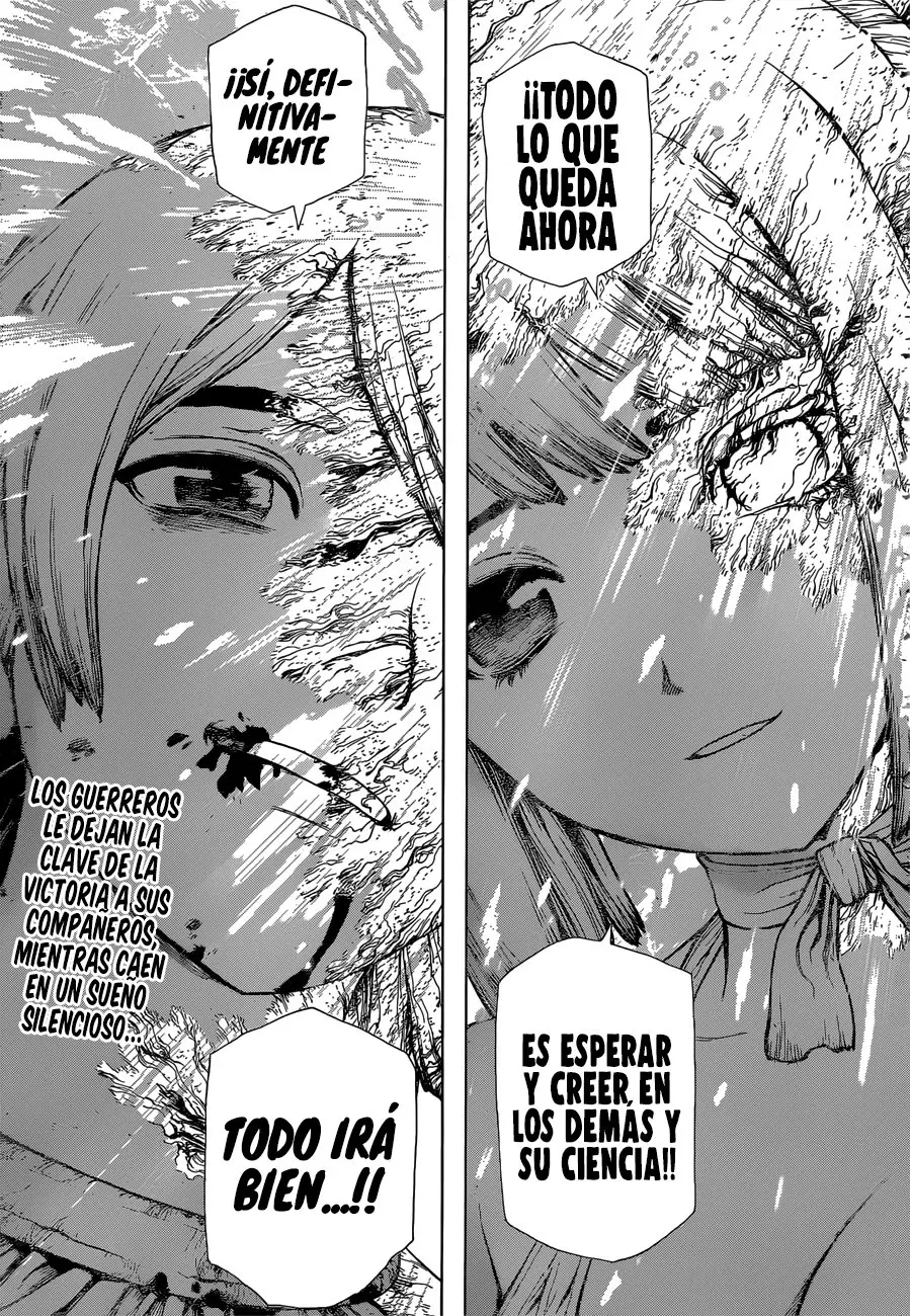 Dr. Stone capítulo 121, página 21