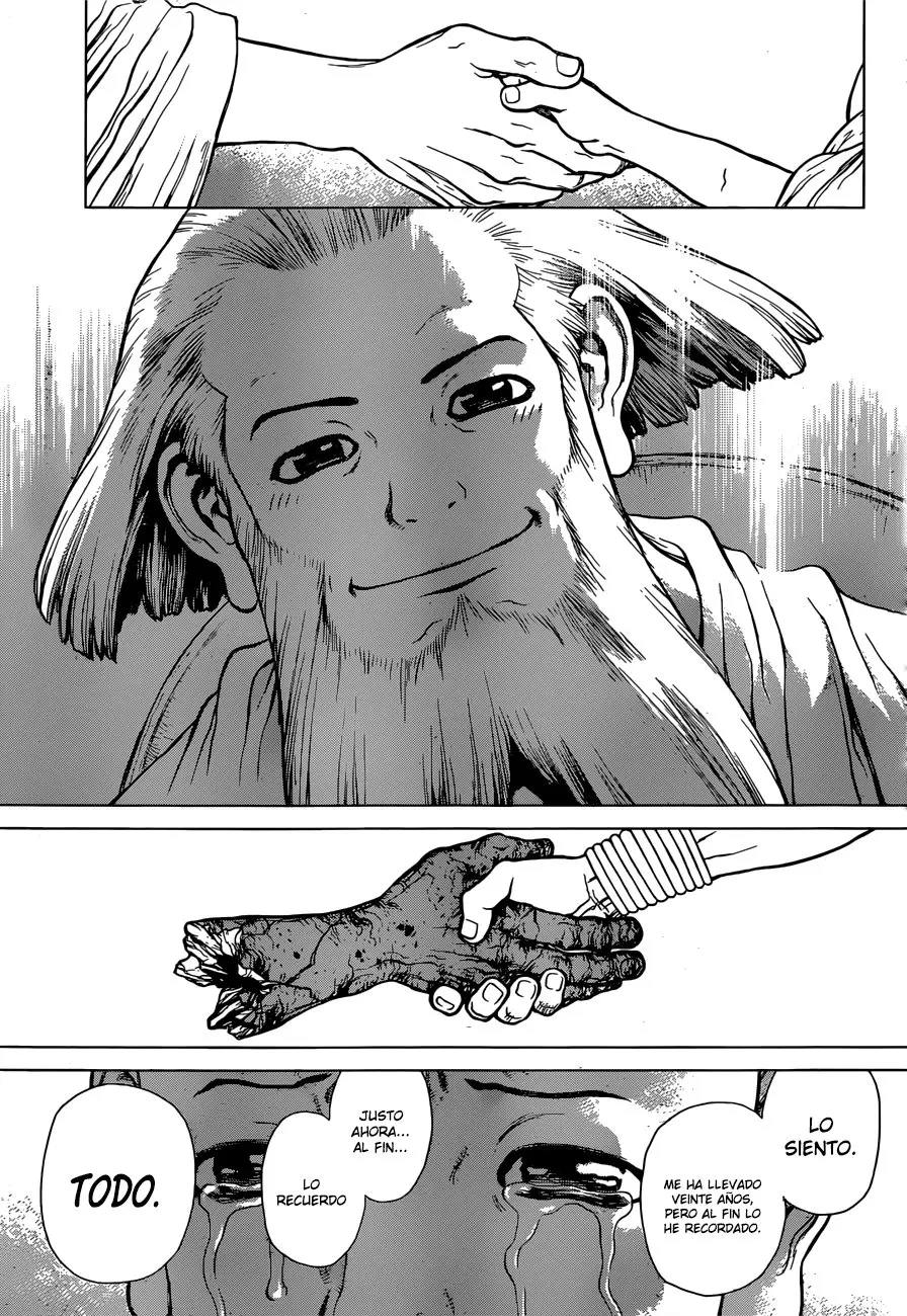 Dr. Stone capítulo 128, página 17