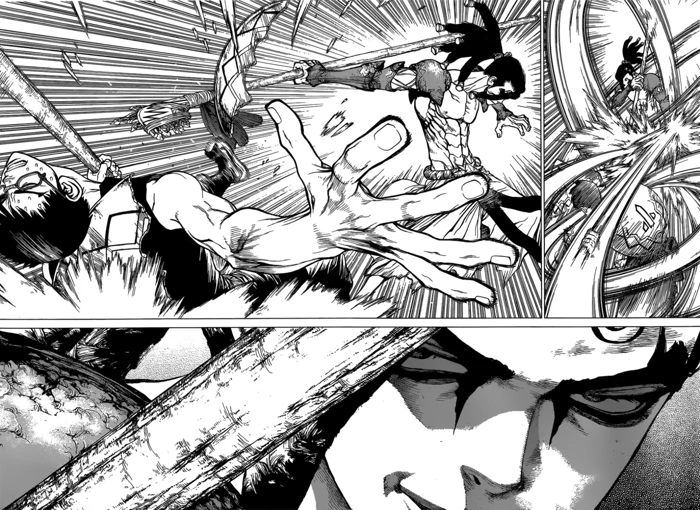 Dr. Stone capítulo 129, página 11