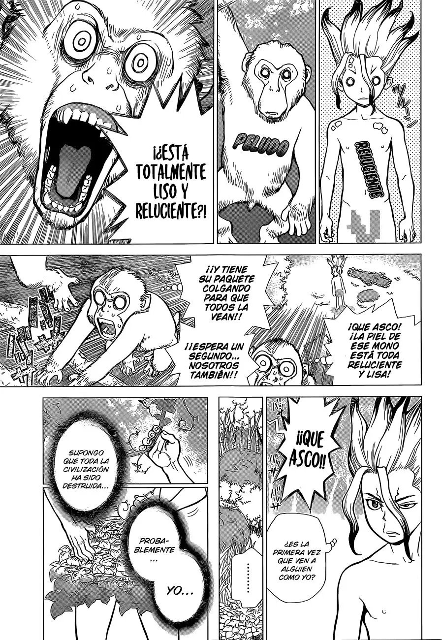 Dr. Stone capítulo 13, página 5