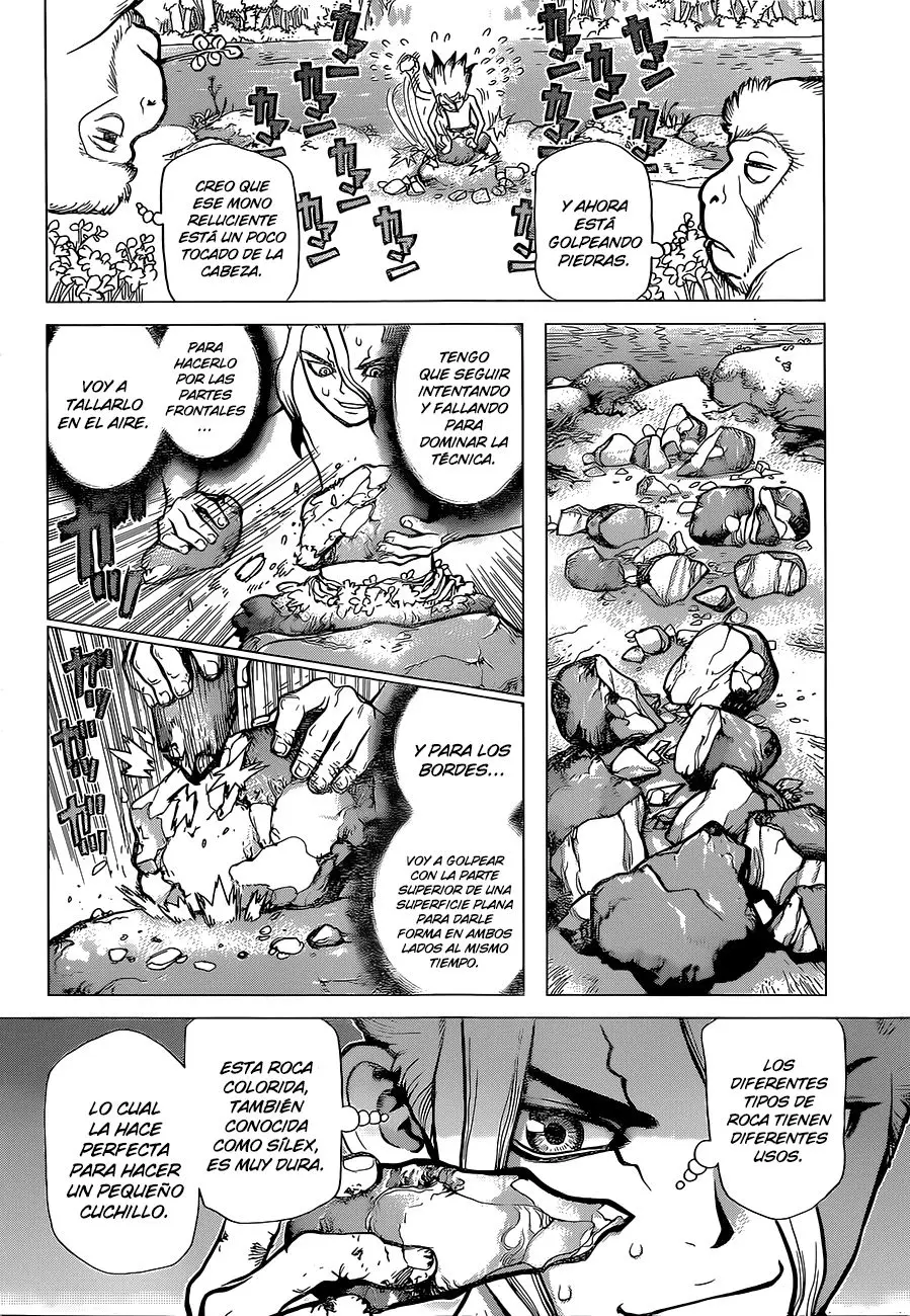 Dr. Stone capítulo 13, página 11