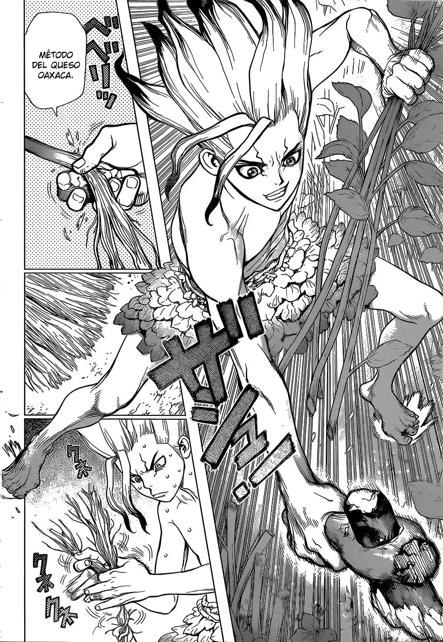 Dr. Stone capítulo 13, página 13