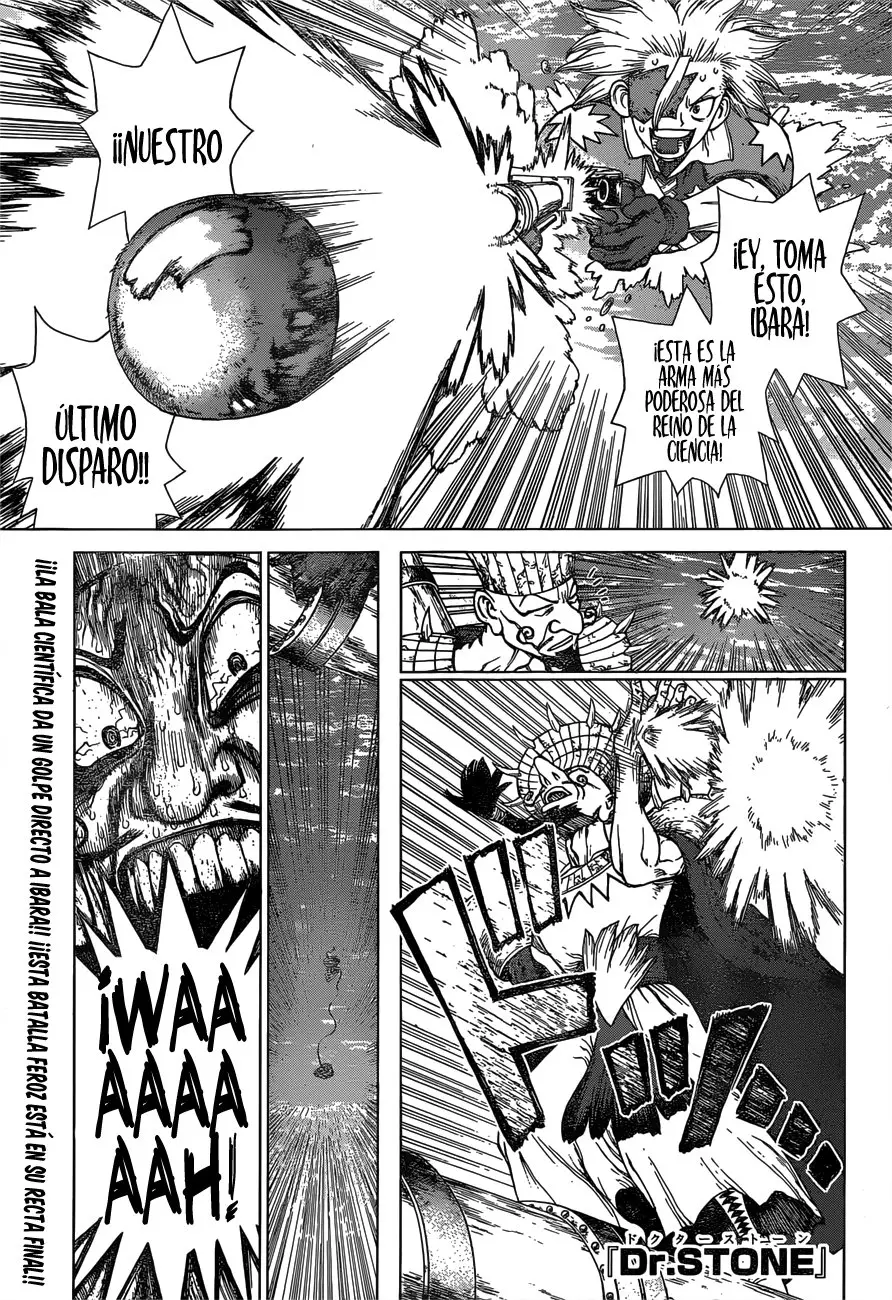 Dr. Stone capítulo 132, página 3