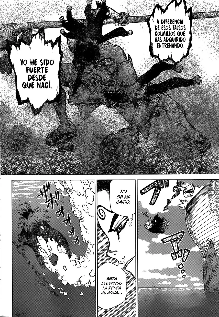 Dr. Stone capítulo 132, página 8