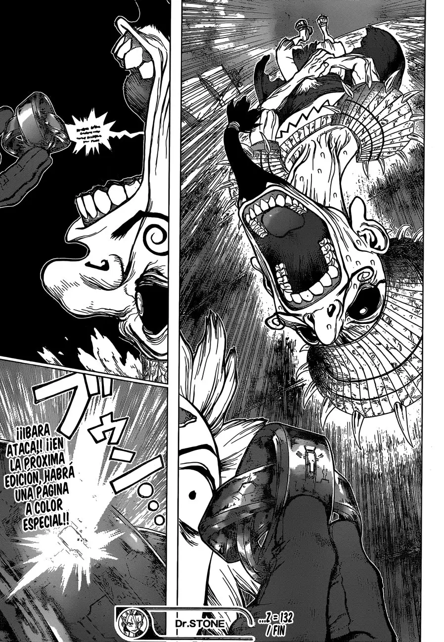 Dr. Stone capítulo 132, página 19