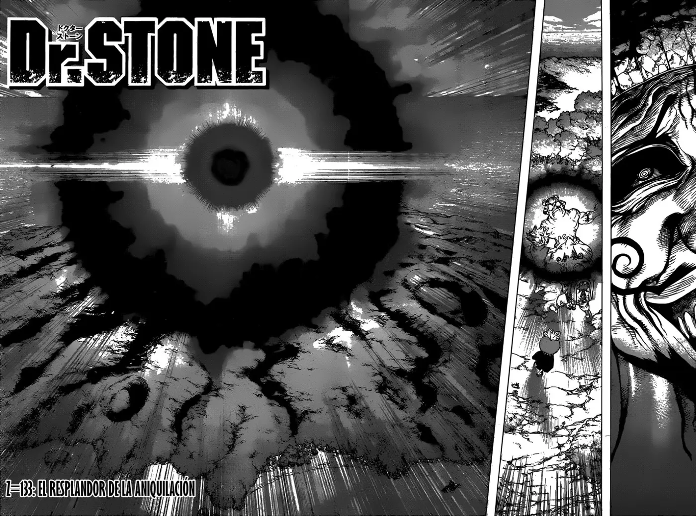 Dr. Stone capítulo 133, página 17