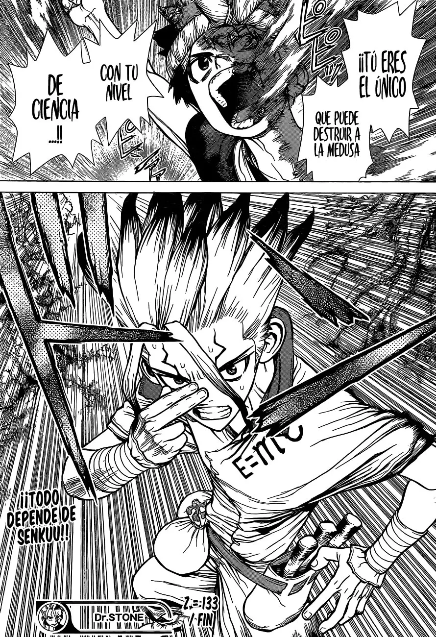 Dr. Stone capítulo 133, página 19