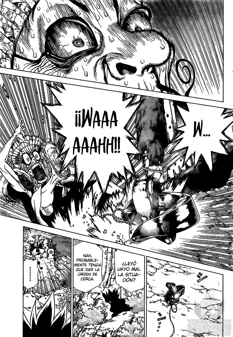 Dr. Stone capítulo 134, página 17