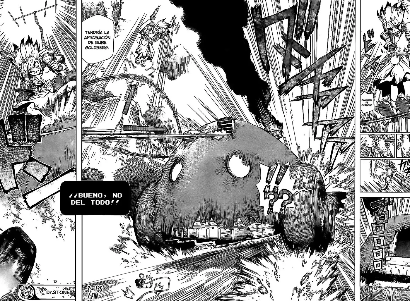 Dr. Stone capítulo 135, página 17