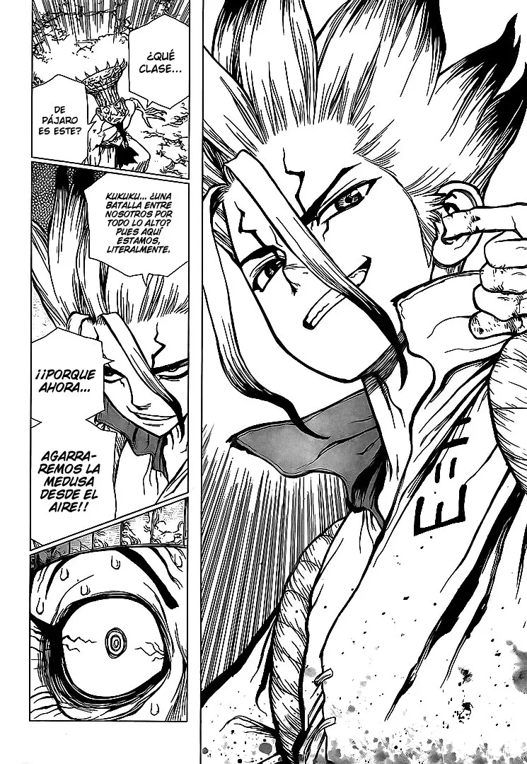 Dr. Stone capítulo 136, página 17