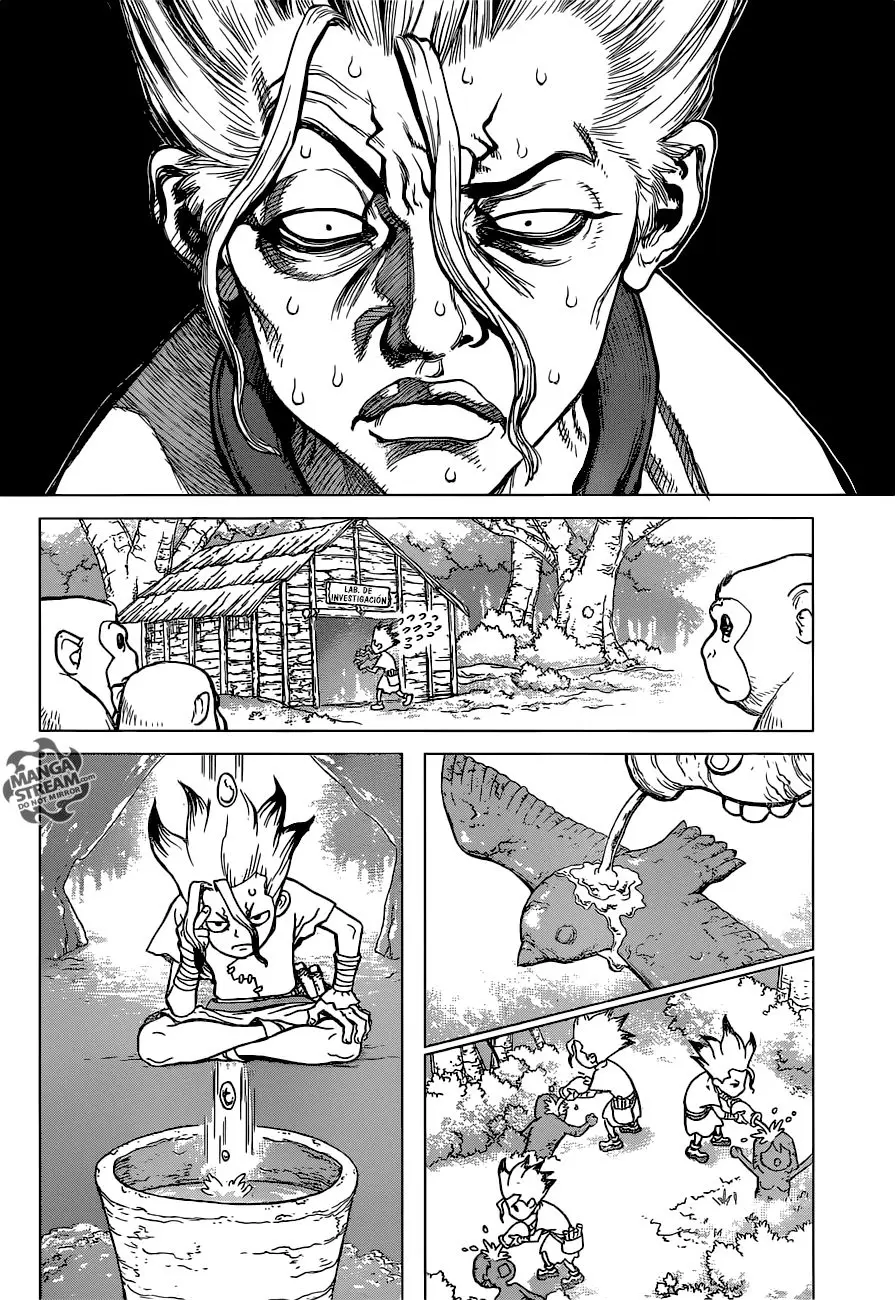 Dr. Stone capítulo 14, página 11
