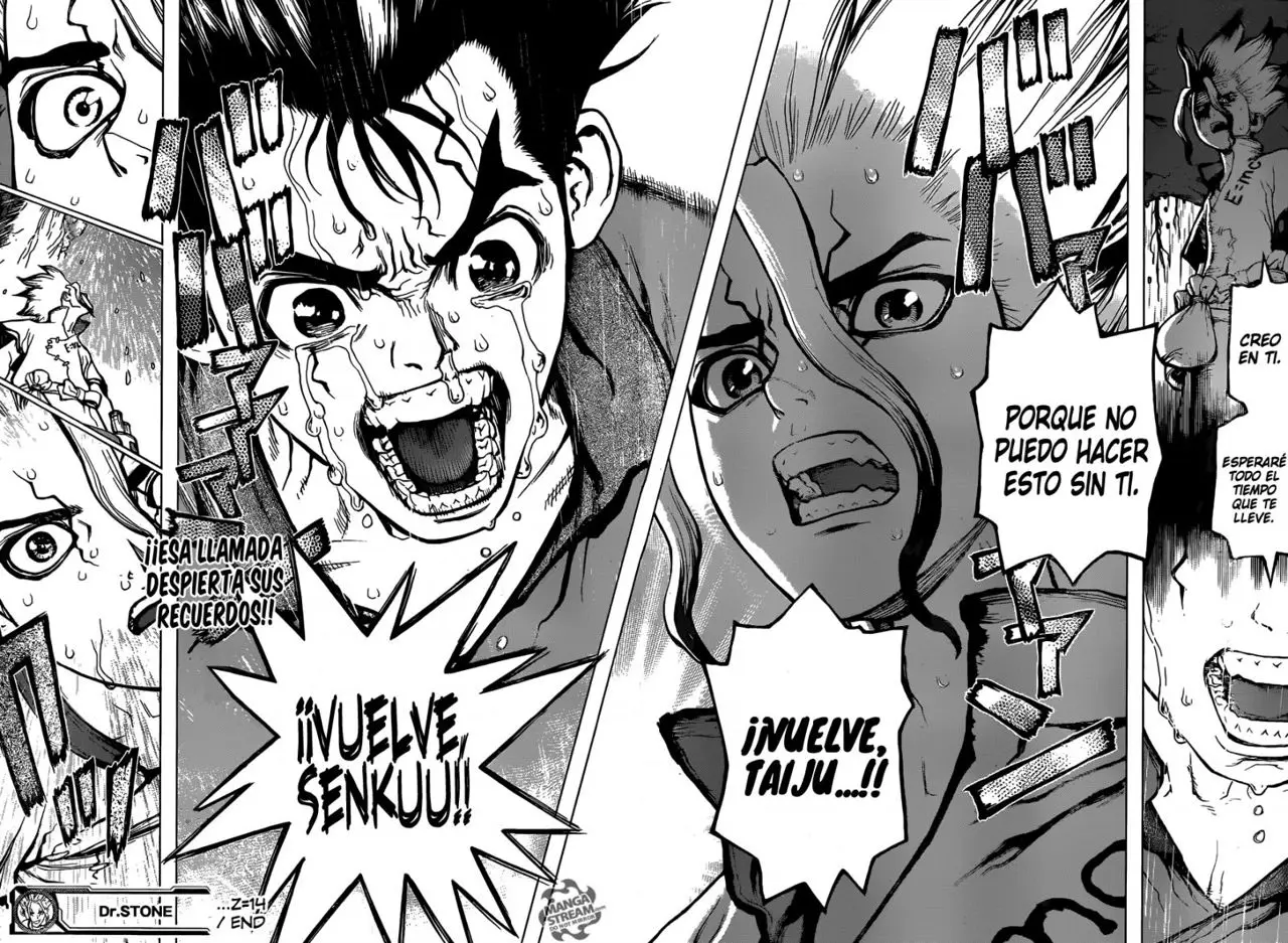 Dr. Stone capítulo 14, página 17