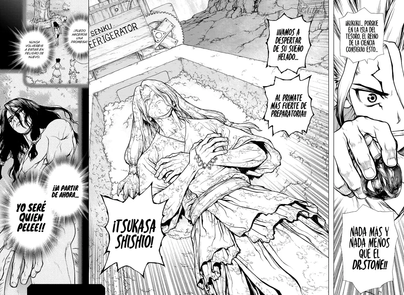 Dr. Stone capítulo 140, página 17