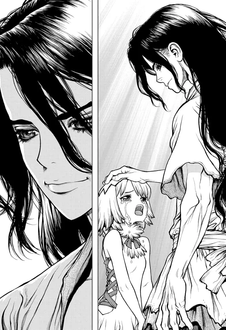 Dr. Stone capítulo 141, página 13