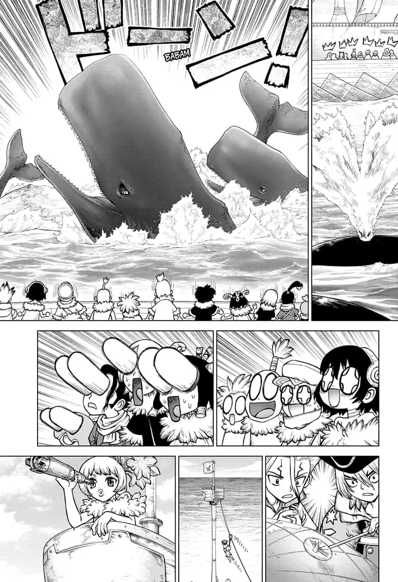 Dr. Stone capítulo 147, página 21