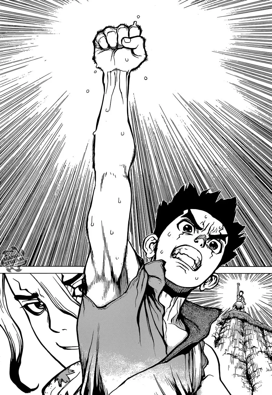 Dr. Stone capítulo 15, página 16