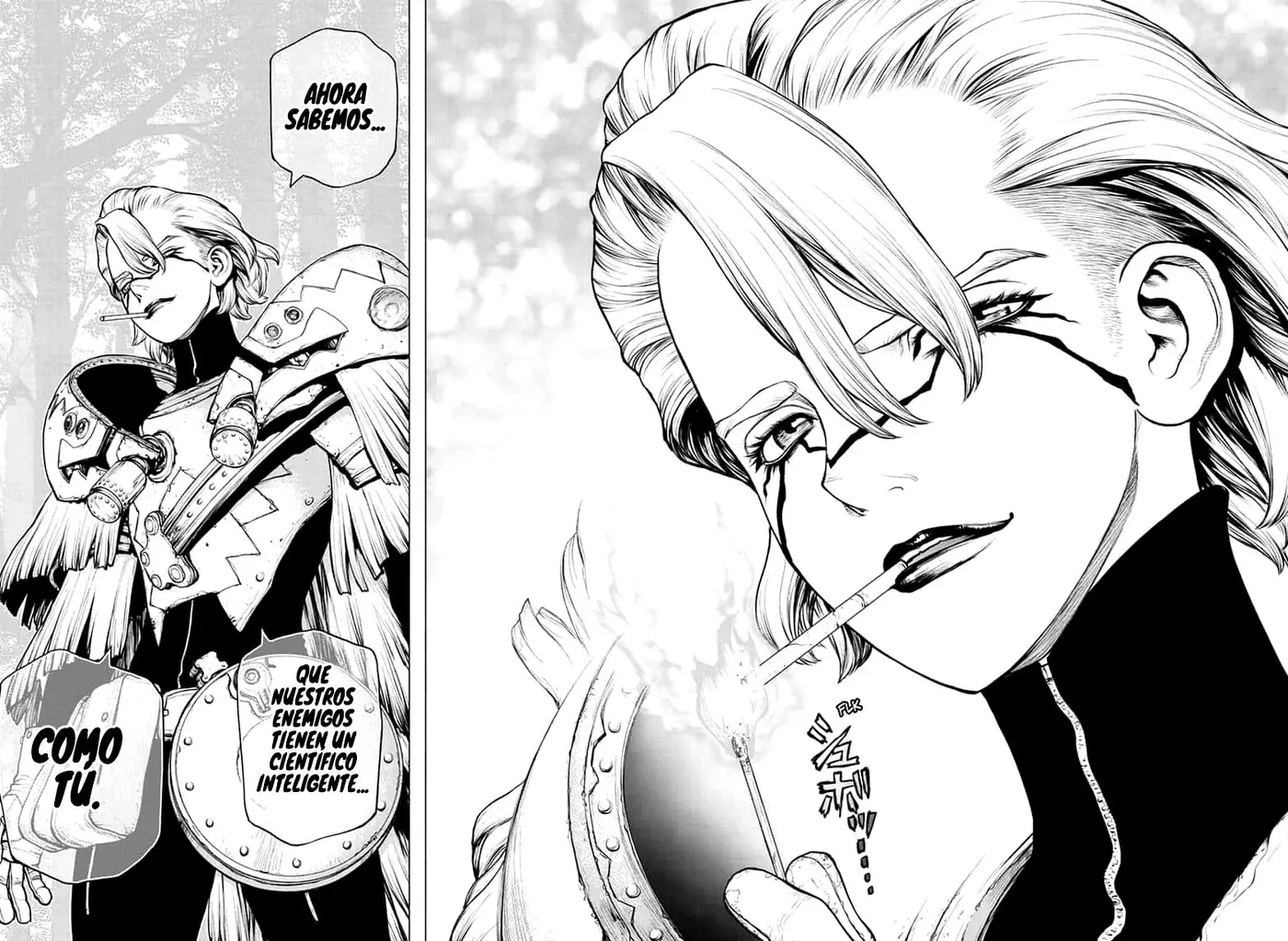 Dr. Stone capítulo 150, página 17