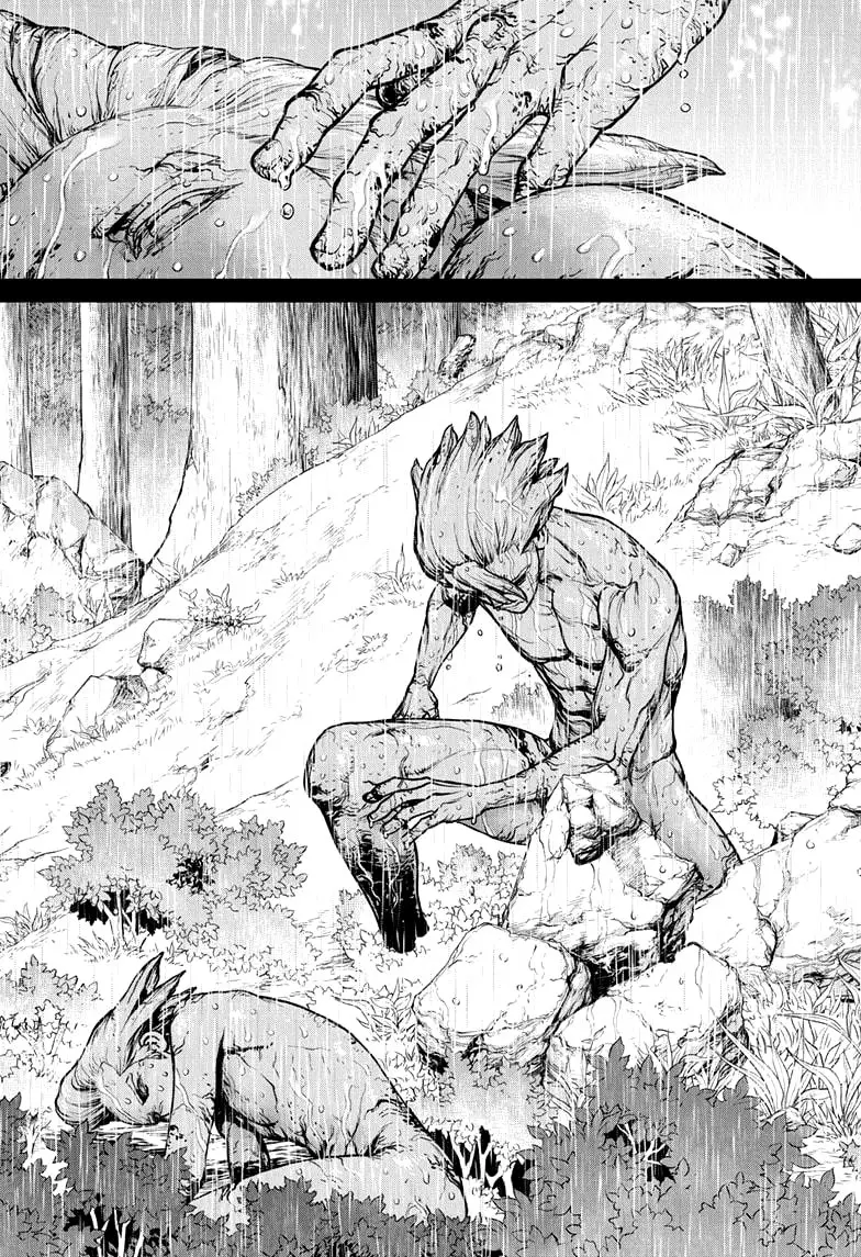 Dr. Stone capítulo 157, página 15