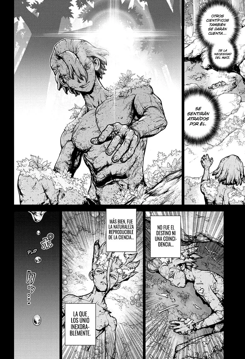 Dr. Stone capítulo 157, página 17