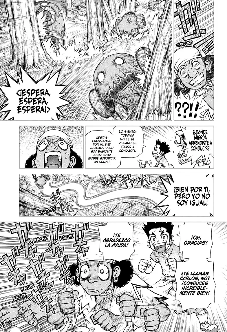 Dr. Stone capítulo 162, página 15
