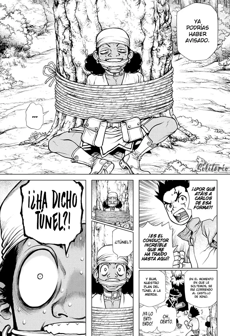 Dr. Stone capítulo 162, página 17