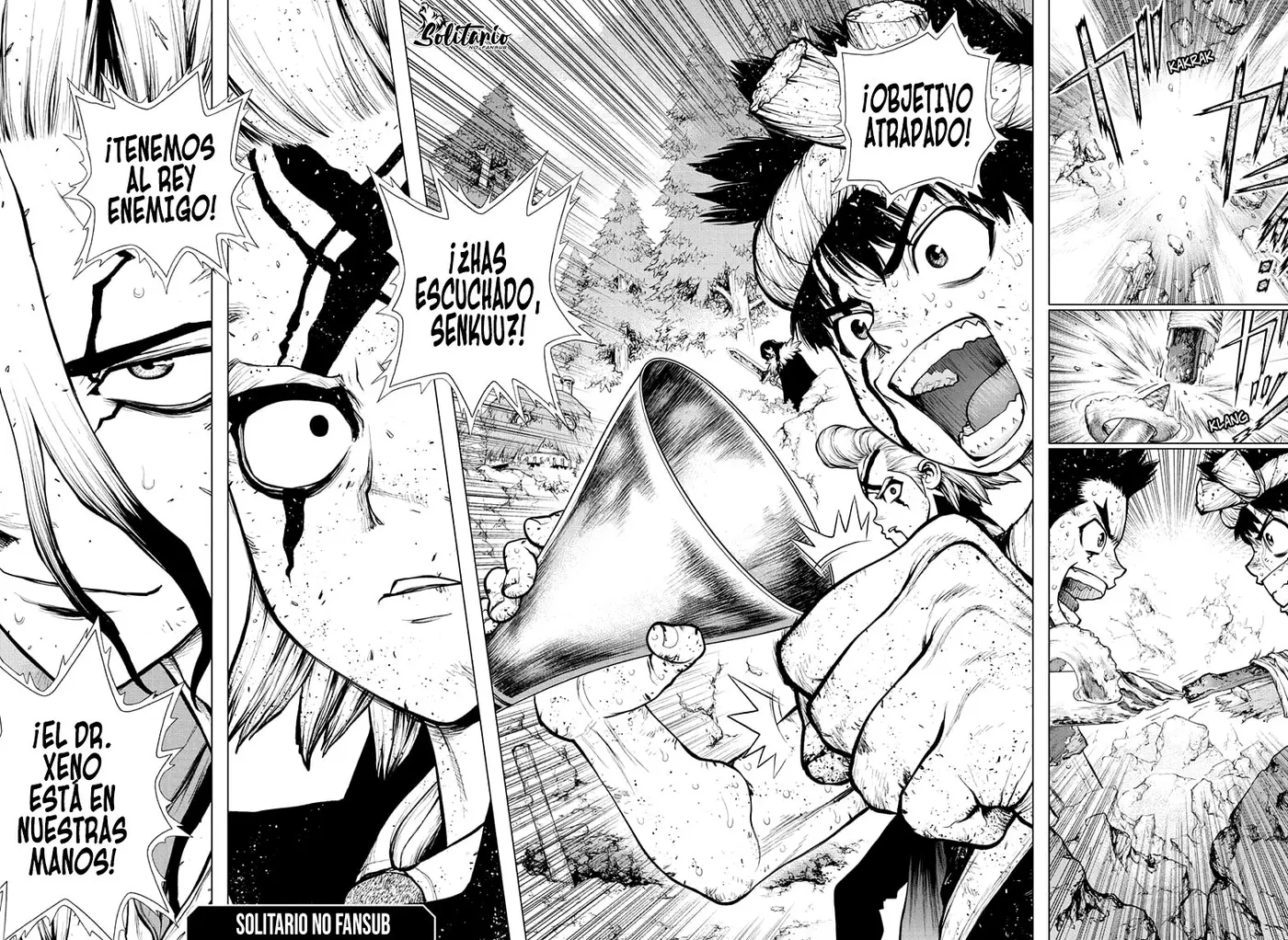 Dr. Stone capítulo 167, página 17