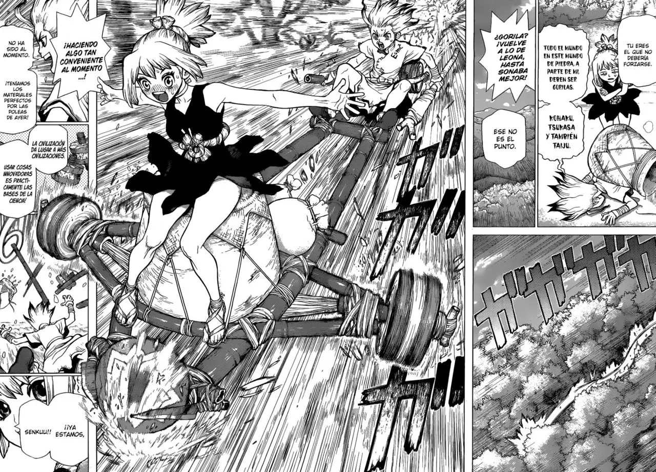 Dr. Stone capítulo 17, página 8