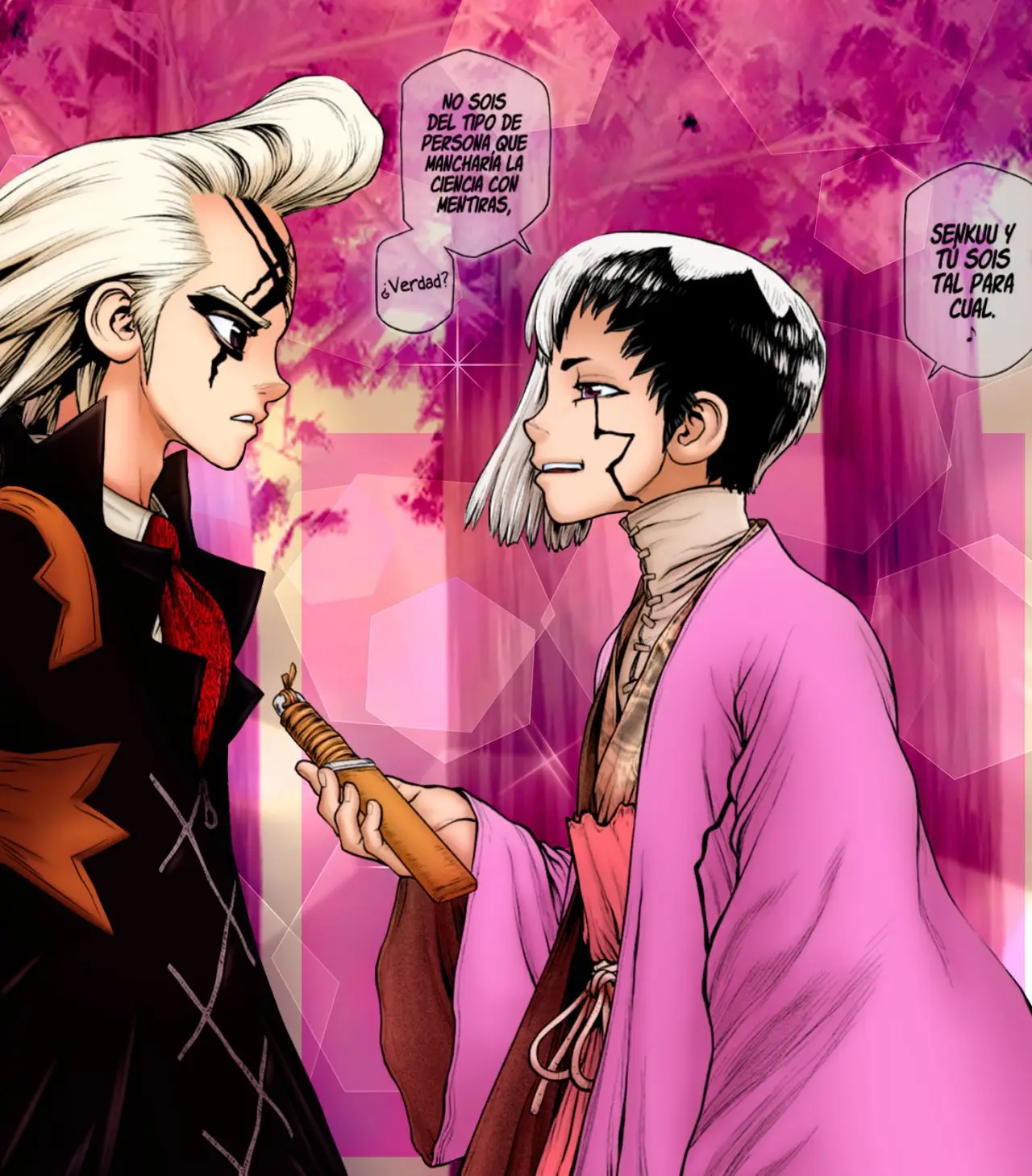 Dr. Stone capítulo 176, página 17