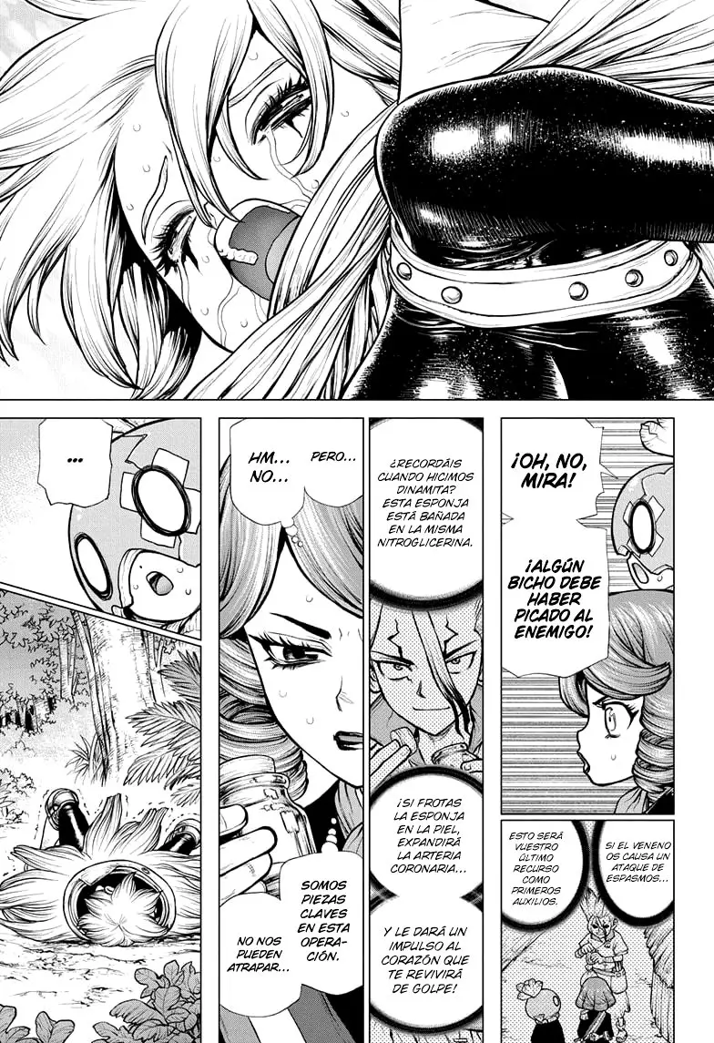 Dr. Stone capítulo 185, página 16