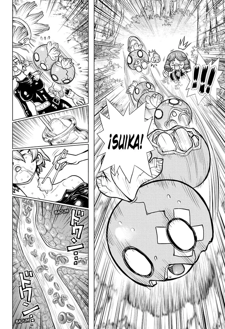Dr. Stone capítulo 185, página 17
