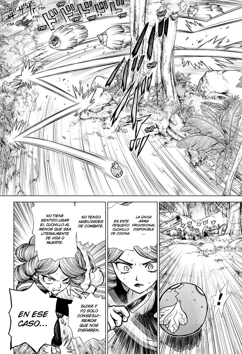 Dr. Stone capítulo 186, página 6