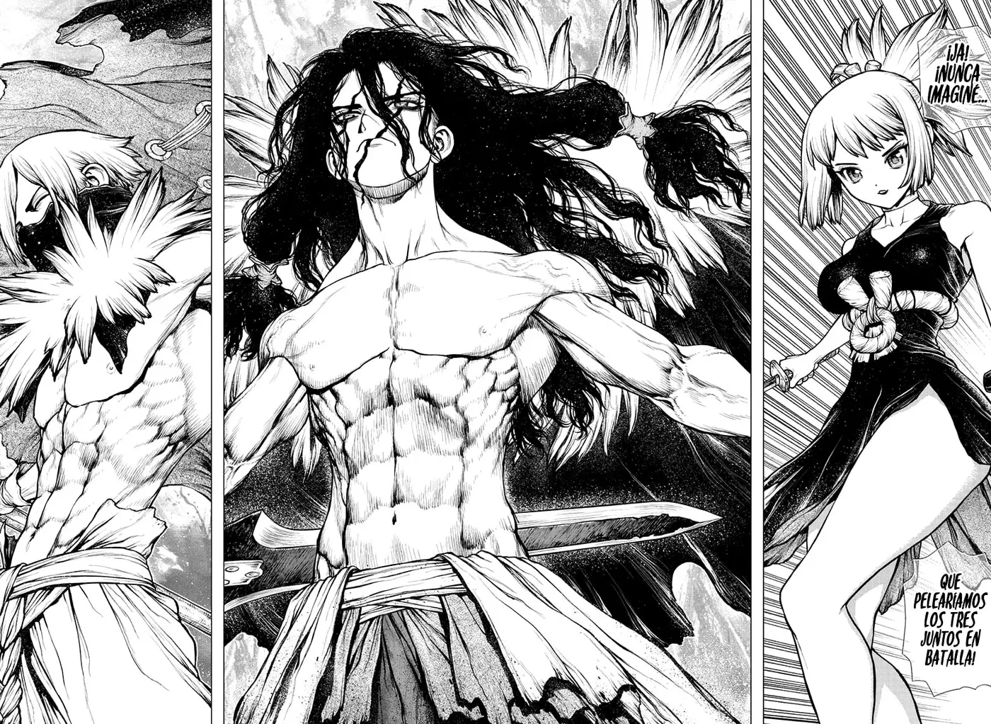 Dr. Stone capítulo 187, página 17