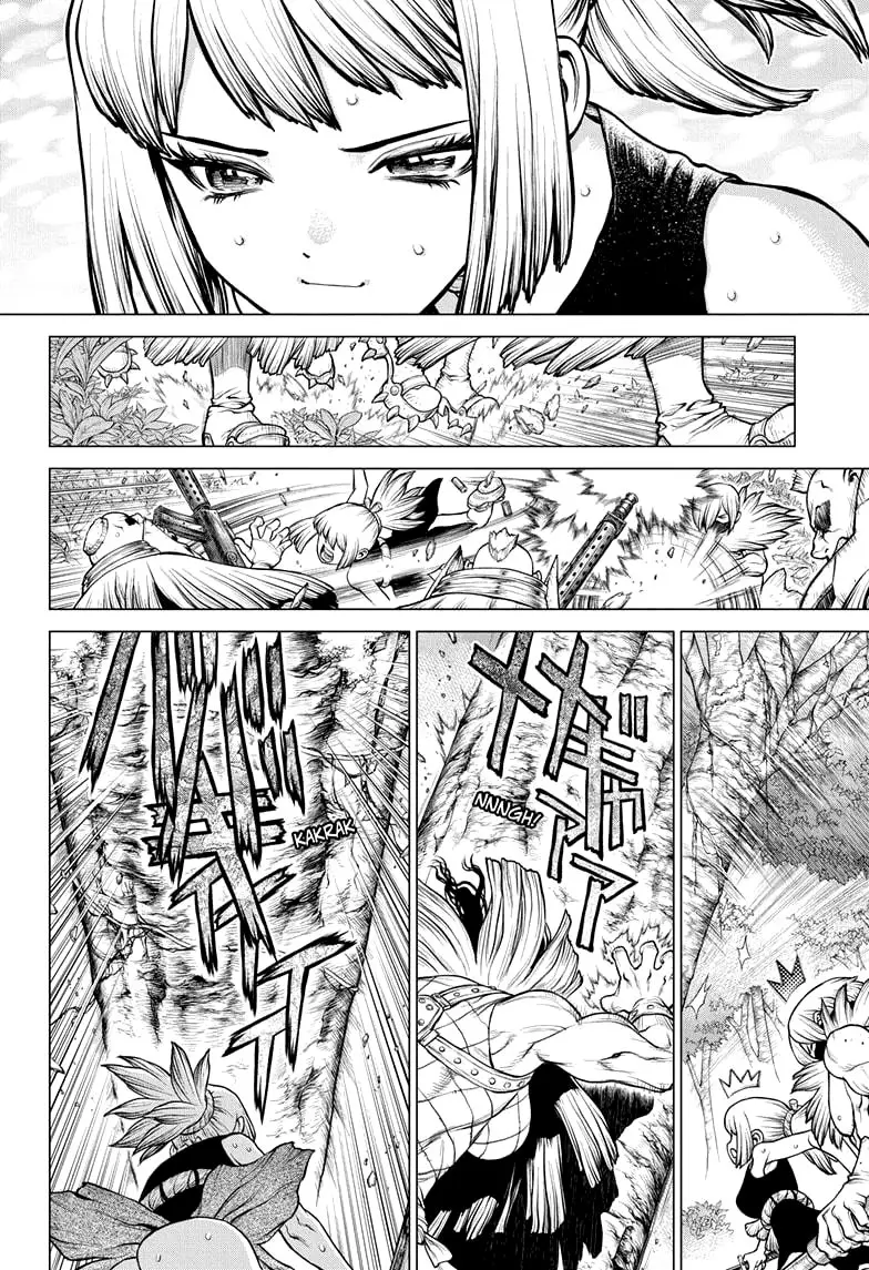 Dr. Stone capítulo 188, página 6