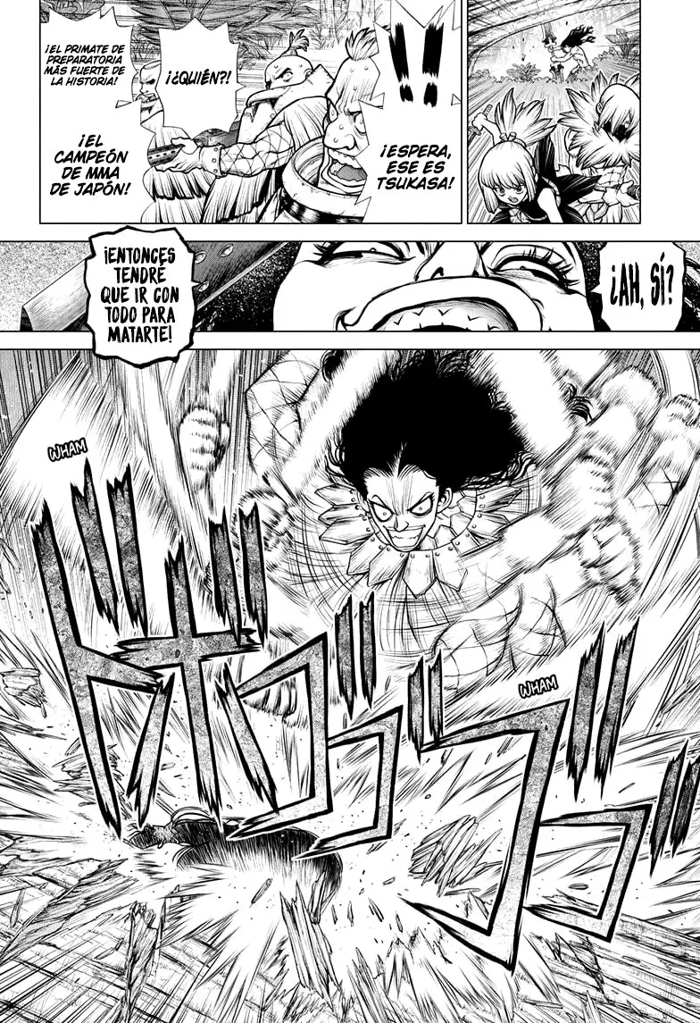 Dr. Stone capítulo 188, página 8