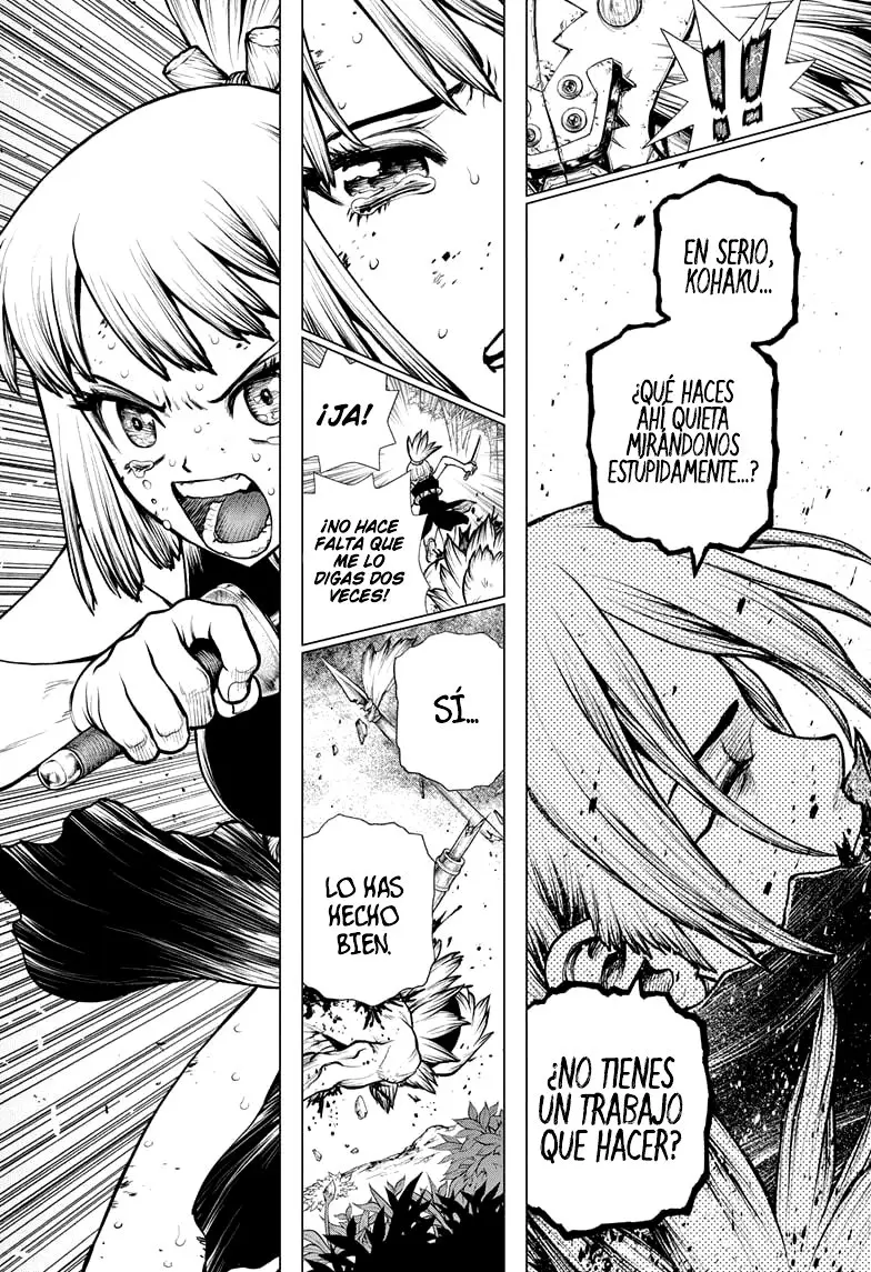 Dr. Stone capítulo 188, página 13