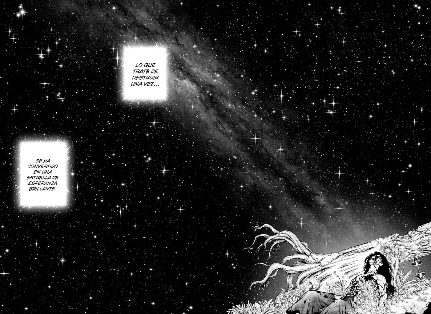 Dr. Stone capítulo 188, página 17