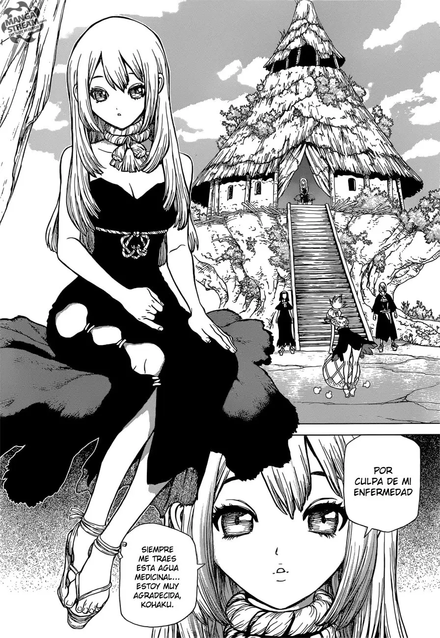 Dr. Stone capítulo 19, página 8
