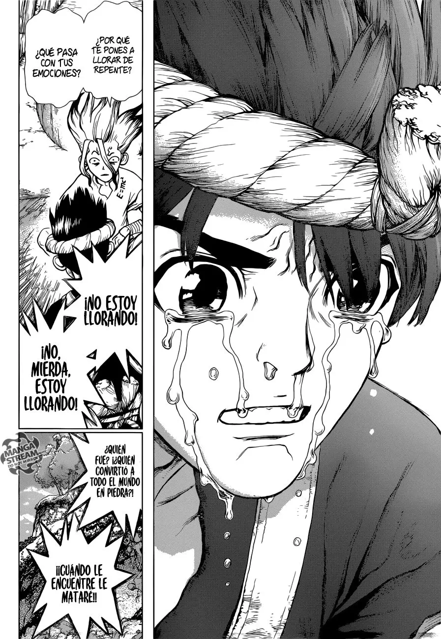 Dr. Stone capítulo 19, página 14